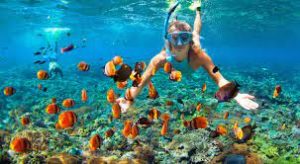 Snorkeling in Hurghada