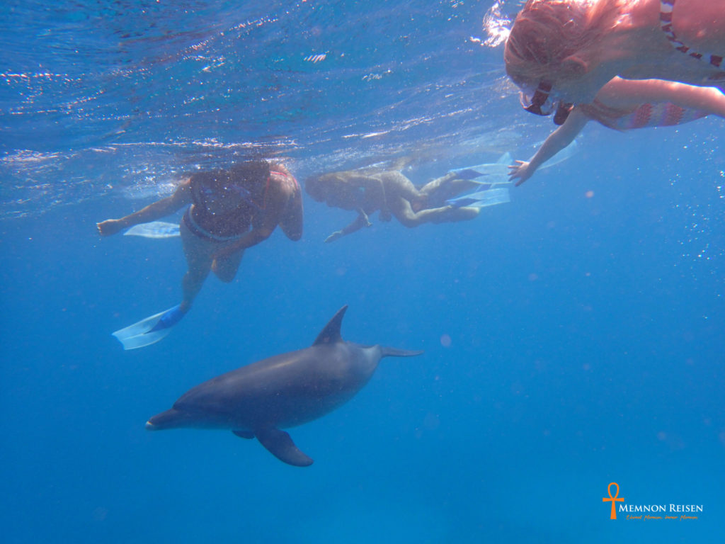 Dance of the Dolphins in Hurghada - 2 days with overnight stay