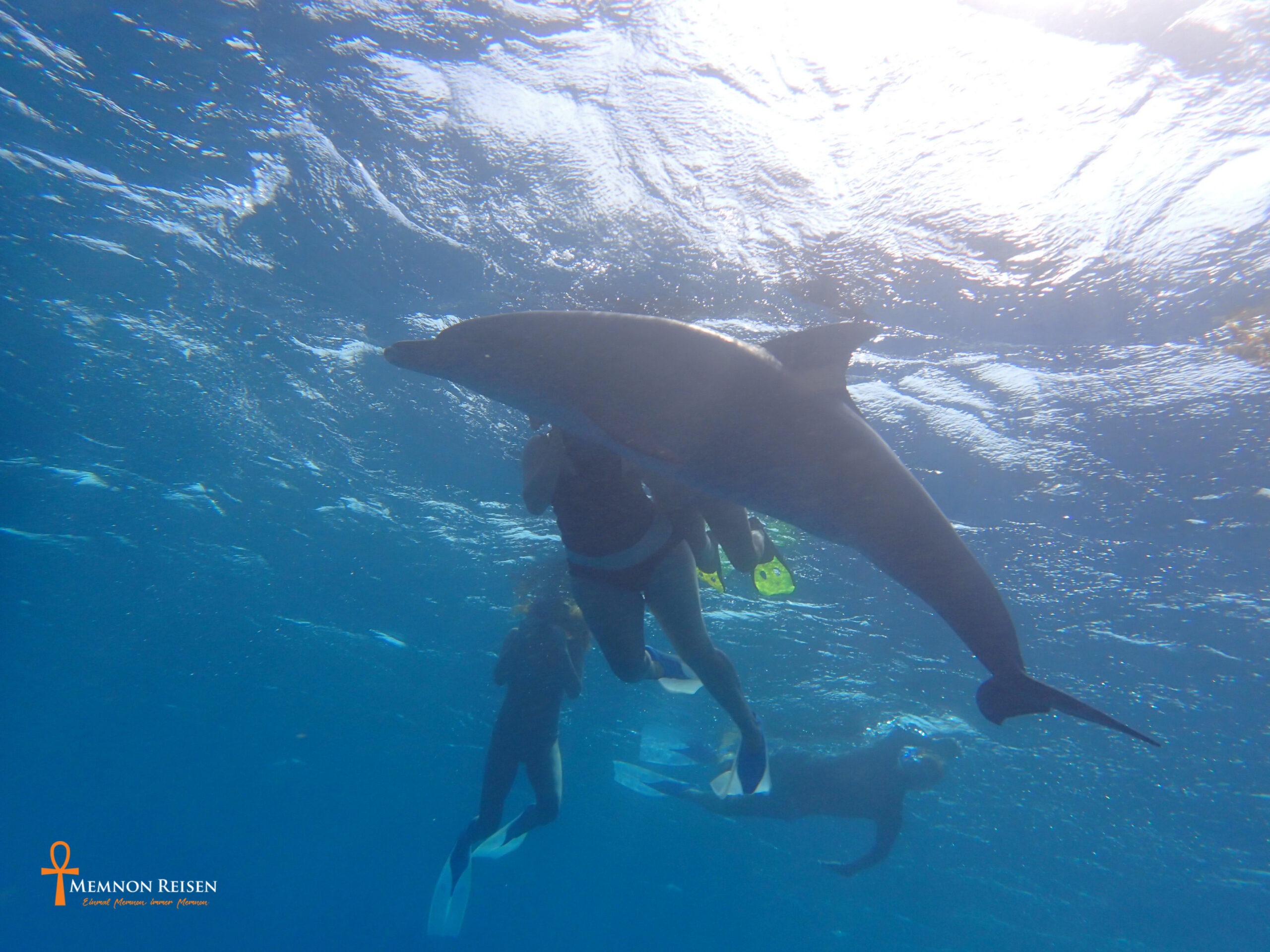 Dance of the Dolphins in Hurghada - 2 days with overnight stay