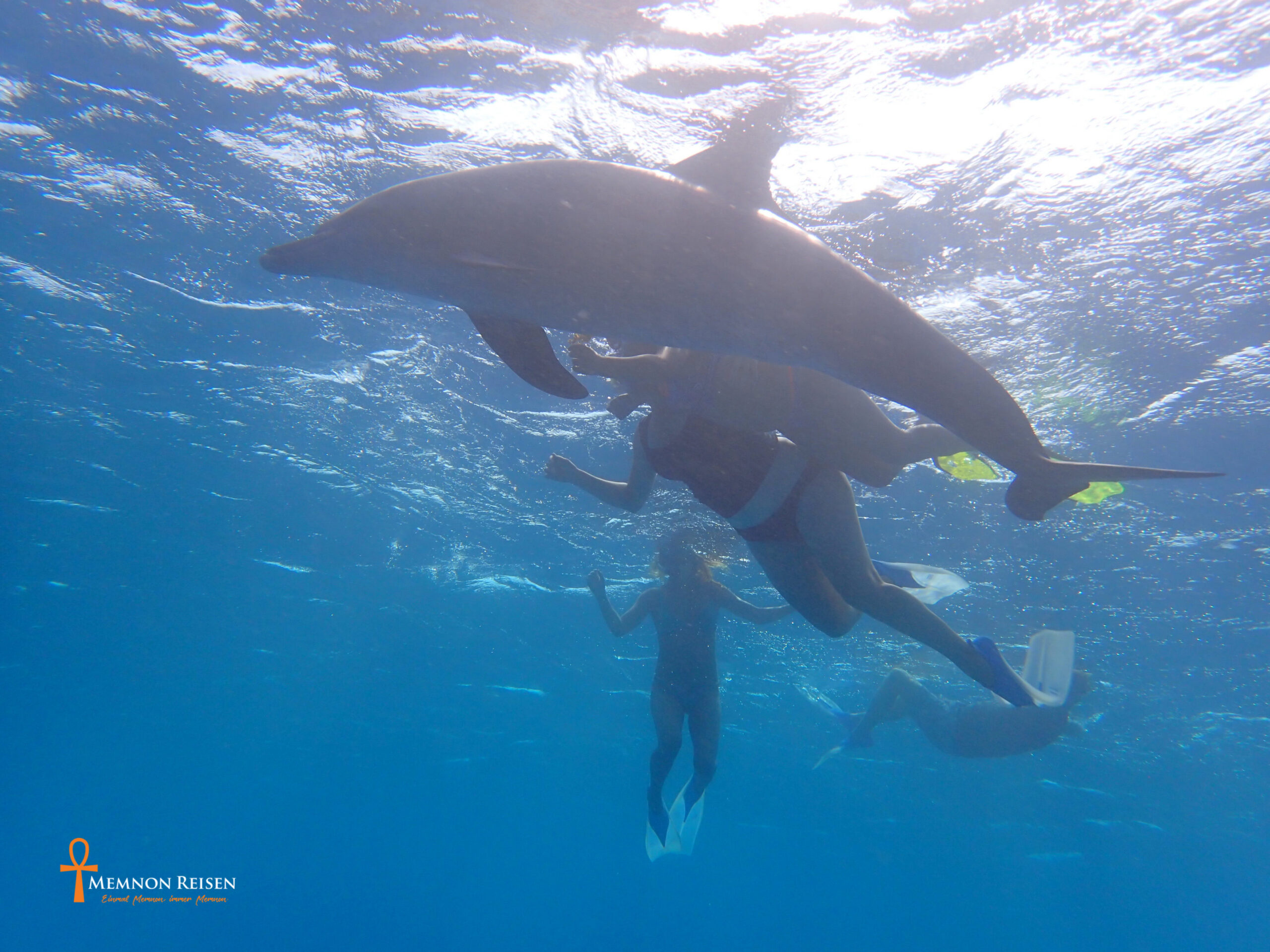 Dance of the Dolphins in Hurghada - 2 days with overnight stay