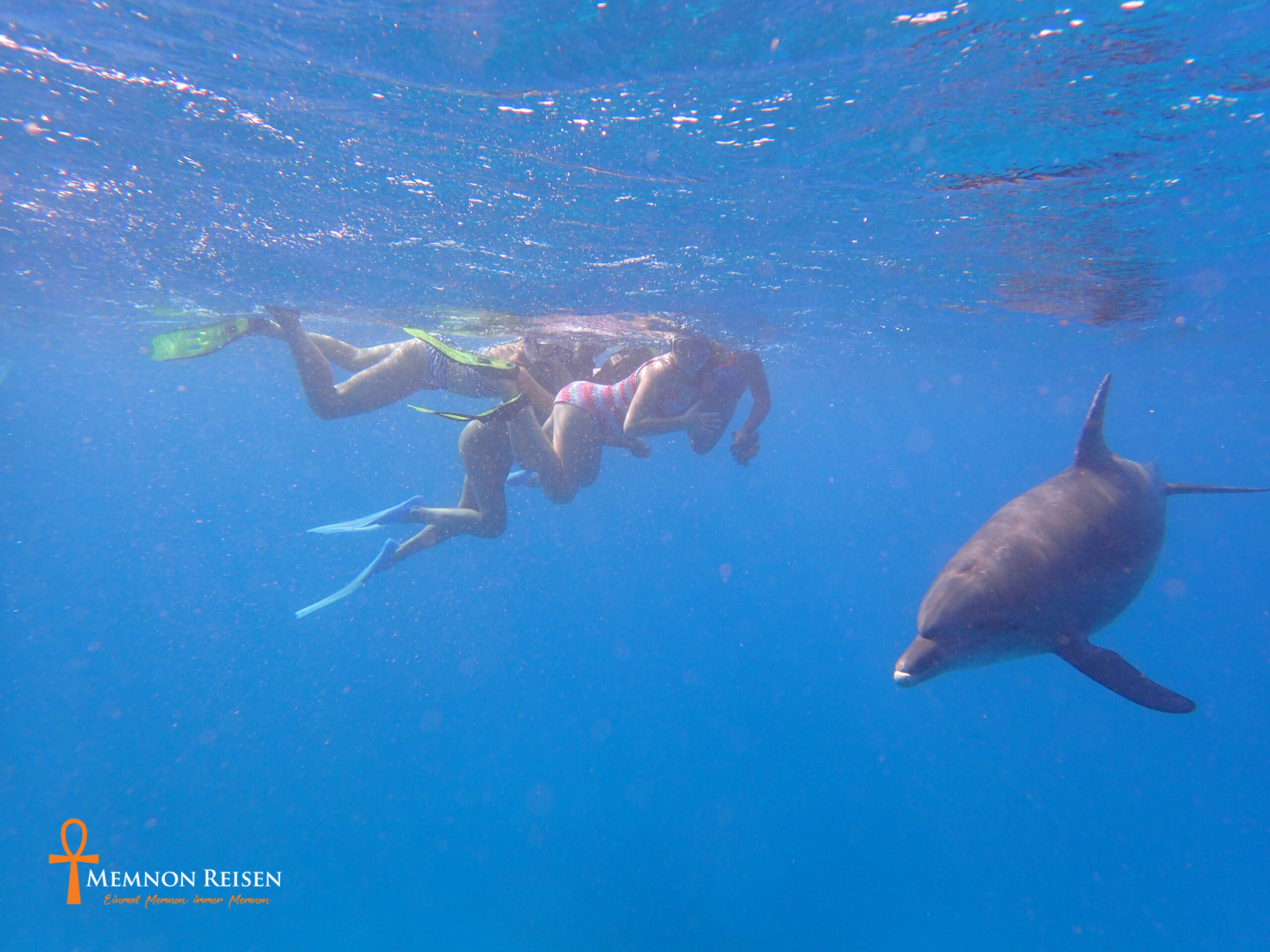 Private Swimming with Dolphins & Snorkeling Tour