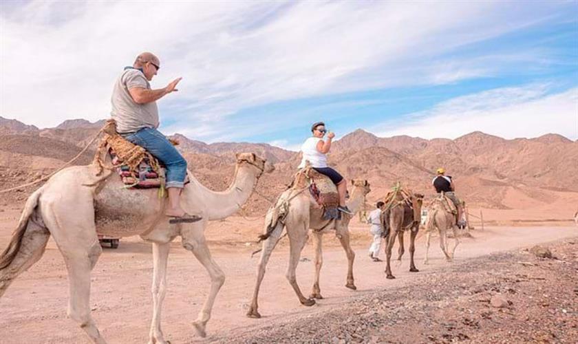 Hurghada Desert Safari + Stargazing and Dinner