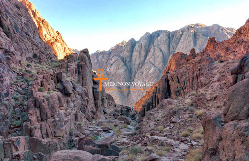 Untitled design (27)