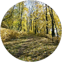 Caius Ionescu profile picture