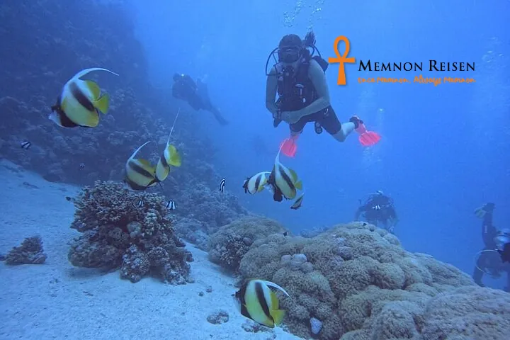 First dive Hurghada – beginner with certified dive instructor