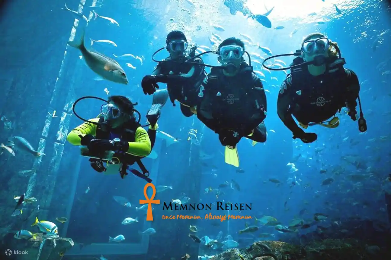 Intro diving Hurghada – coral reefs in the Red Sea