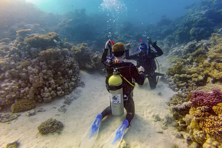 Intro diving Hurghada Red Sea – beginner underwater experience