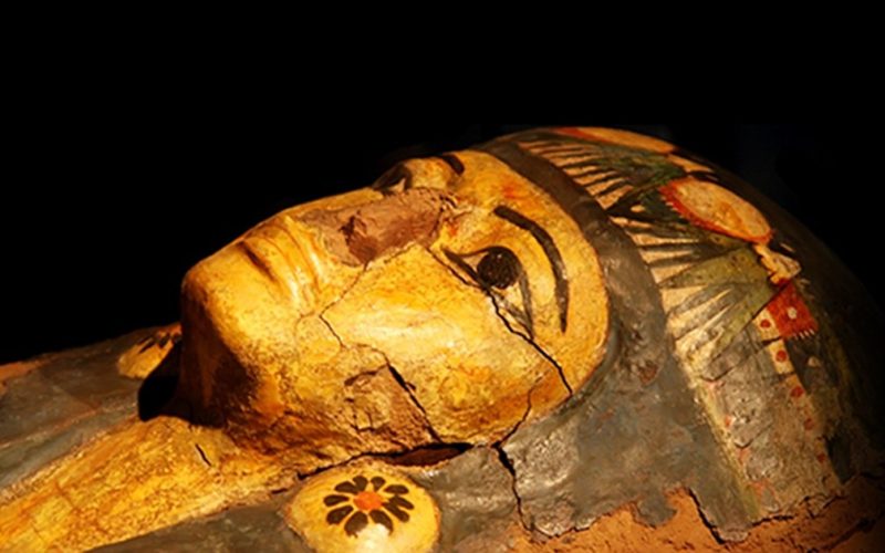 MUSEUM OF MUMMIFICATION